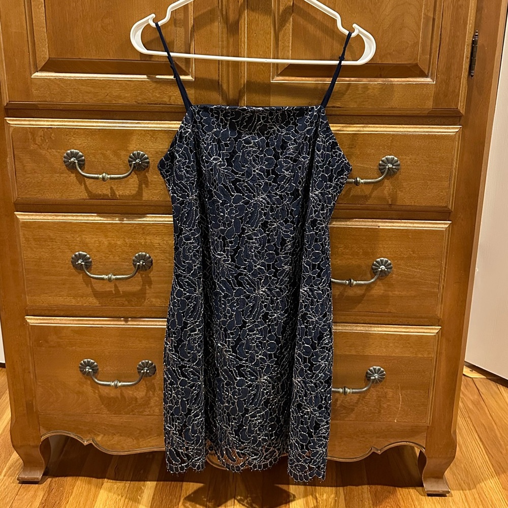 Francesca's Navy and Silver Lace Dress